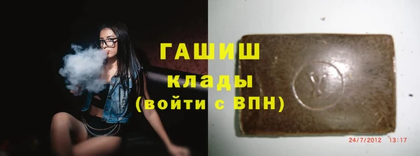 стафф Коряжма