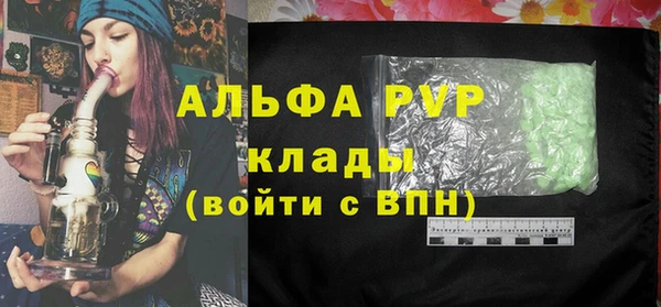 стафф Коряжма