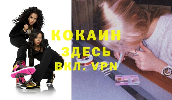 стафф Коряжма