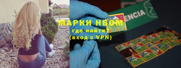 стафф Коряжма