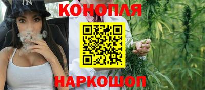 сатива Краснознаменск