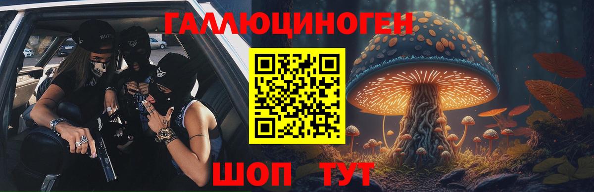 Псилоцибиновые грибы Cubensis Кудрово