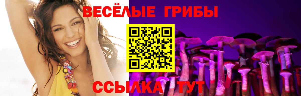 Кудрово  Псилоцибиновые грибы MAGIC MUSHROOMS  Вход с VPN 