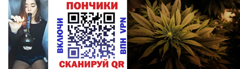 Шишки марихуана THC 21% Кудрово