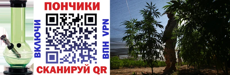 гидра онион  Кудрово  Шишки марихуана гибрид 